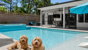 dogfriendly
